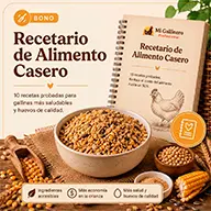 Recetas de Alimento Barato
