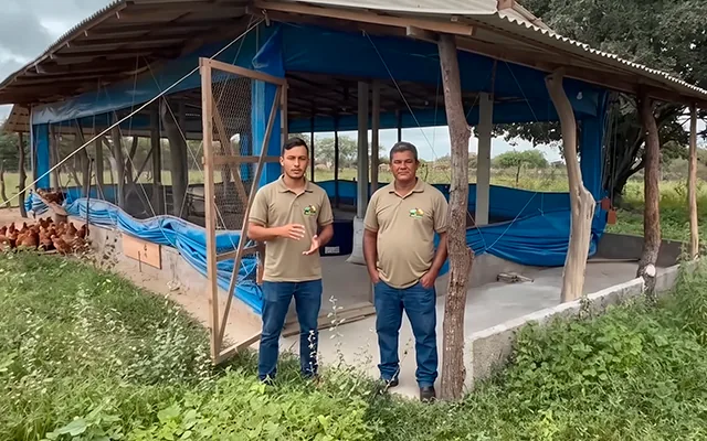 Freddy y familia en su gallinero