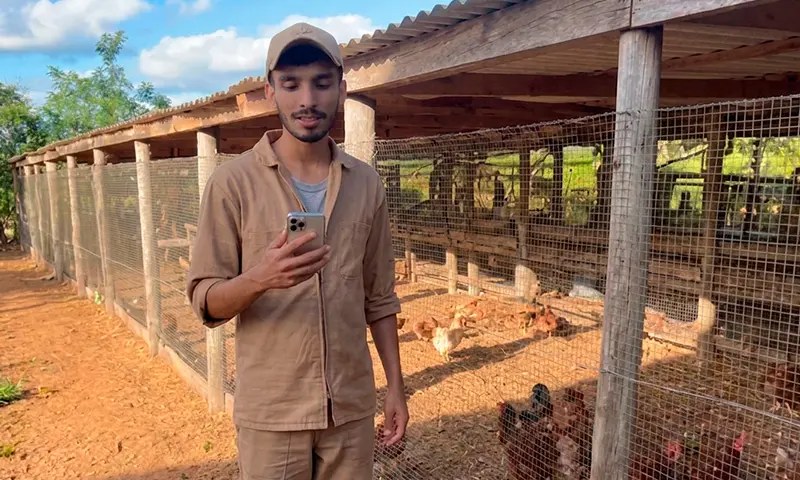 Criador usando Mi Gallinero Profesional