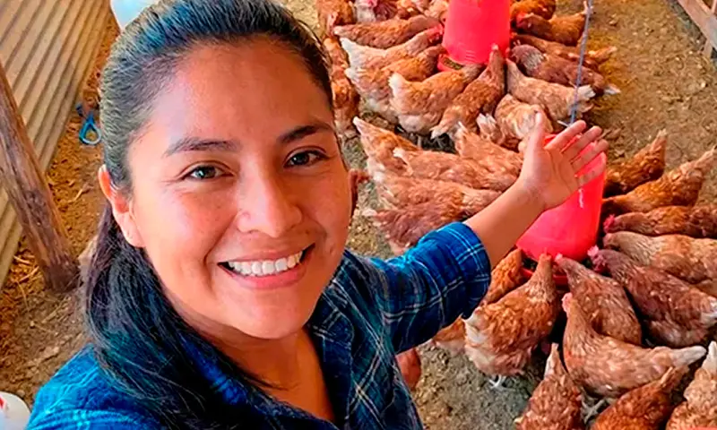 Criadora usando Mi Gallinero Profesional