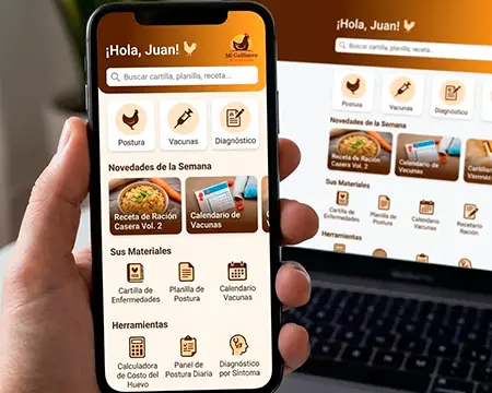 App Completo