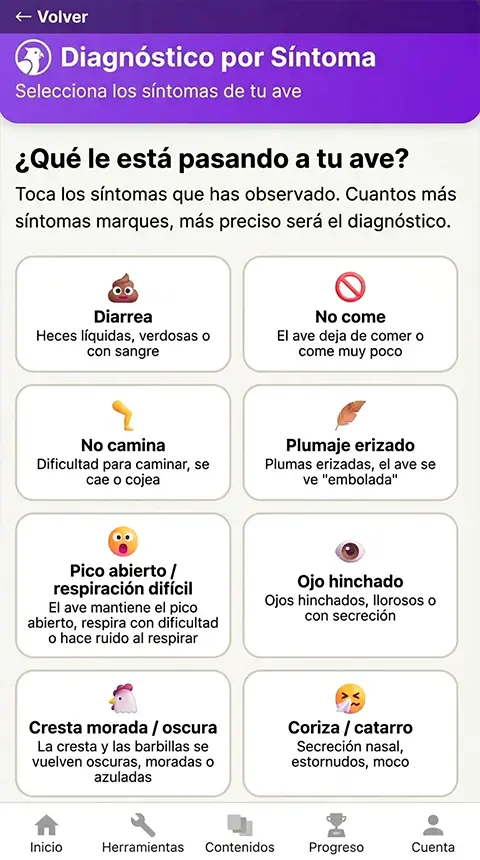 Pantalla del app 2