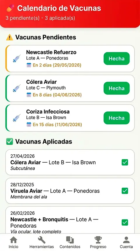 Pantalla del app 4