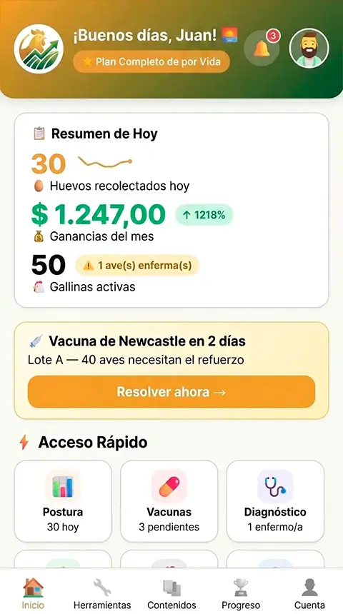 Pantalla del app 6